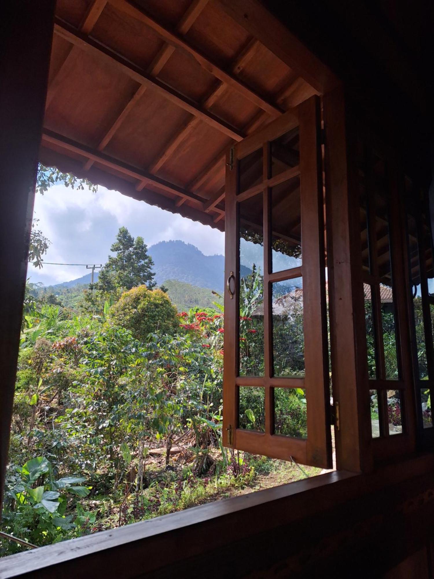 Manigelang Villa 문덕 객실 사진